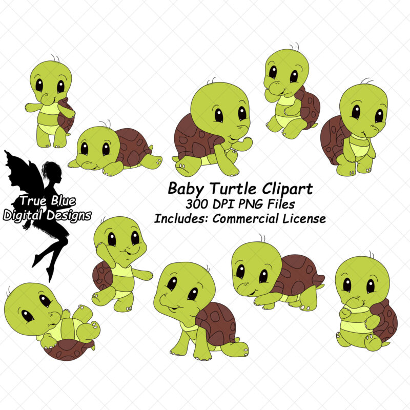 Baby Turtle Clipart-Turtle Clipart-Cute Turtle Clipart-Animal Clipart-Tortoise Clipart-Cartoon Clipart-Nursery Clipart-Sticker Clipart